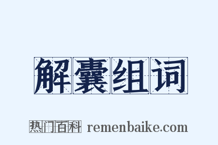 解囊组词是什么意思的图片